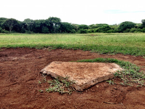 Little Corn Home Plate