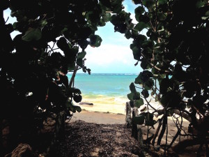 Little Corn Mangrove Beach