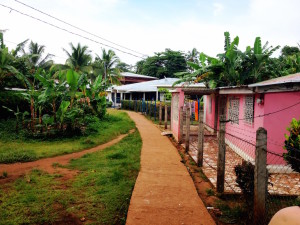 Little Corn Neighborhood Houses