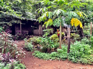 Ometepe Handmade Thatch Home