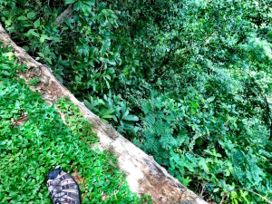 Ometepe Waterfall Steep Path