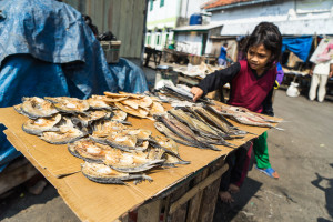 Jakarta Dried Fish Market