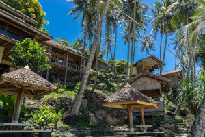 Sayang Beach Freddies Looking Up