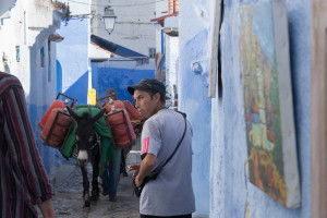 Chefchaouen Donkey Carrying Canisters