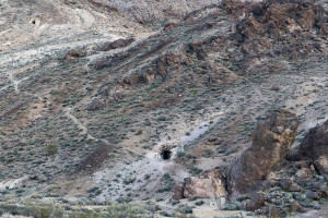 DeathValley Rhyolite Mine Entrances