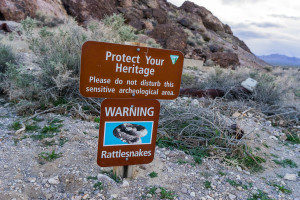 DeathValley Rhyolite Rattlesnake Sign